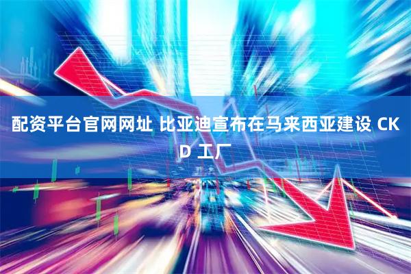 配资平台官网网址 比亚迪宣布在马来西亚建设 CKD 工厂