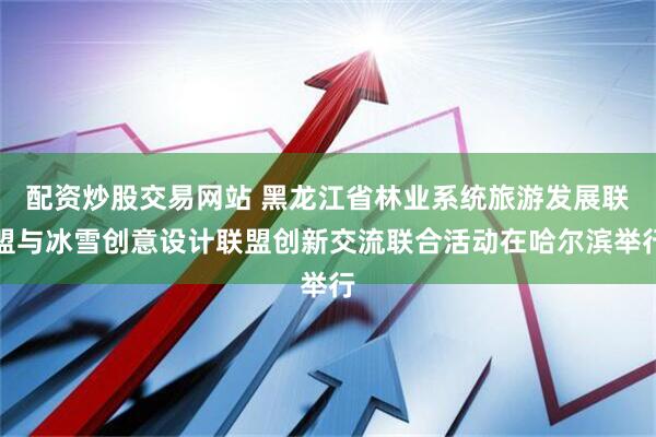 配资炒股交易网站 黑龙江省林业系统旅游发展联盟与冰雪创意设计联盟创新交流联合活动在哈尔滨举行