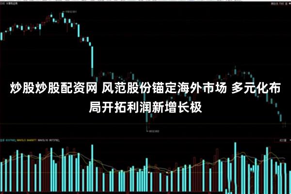 炒股炒股配资网 风范股份锚定海外市场 多元化布局开拓利润新增长极